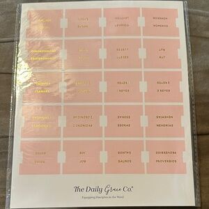 Spanish Pink Bible Tabs by The Daily Grace Co.